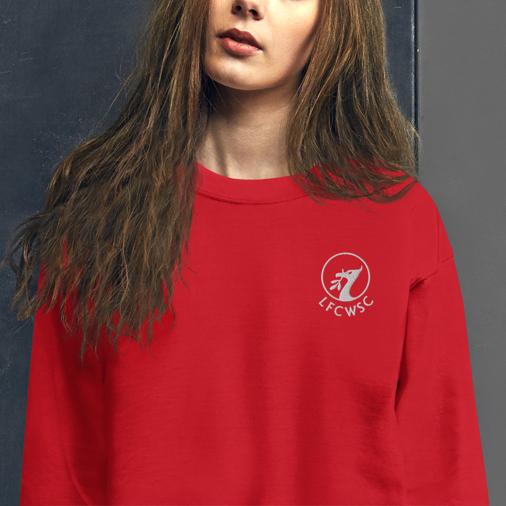 unisex-crew-neck-sweatshirt-red-zoomed-in-62975c7450e98.jpg